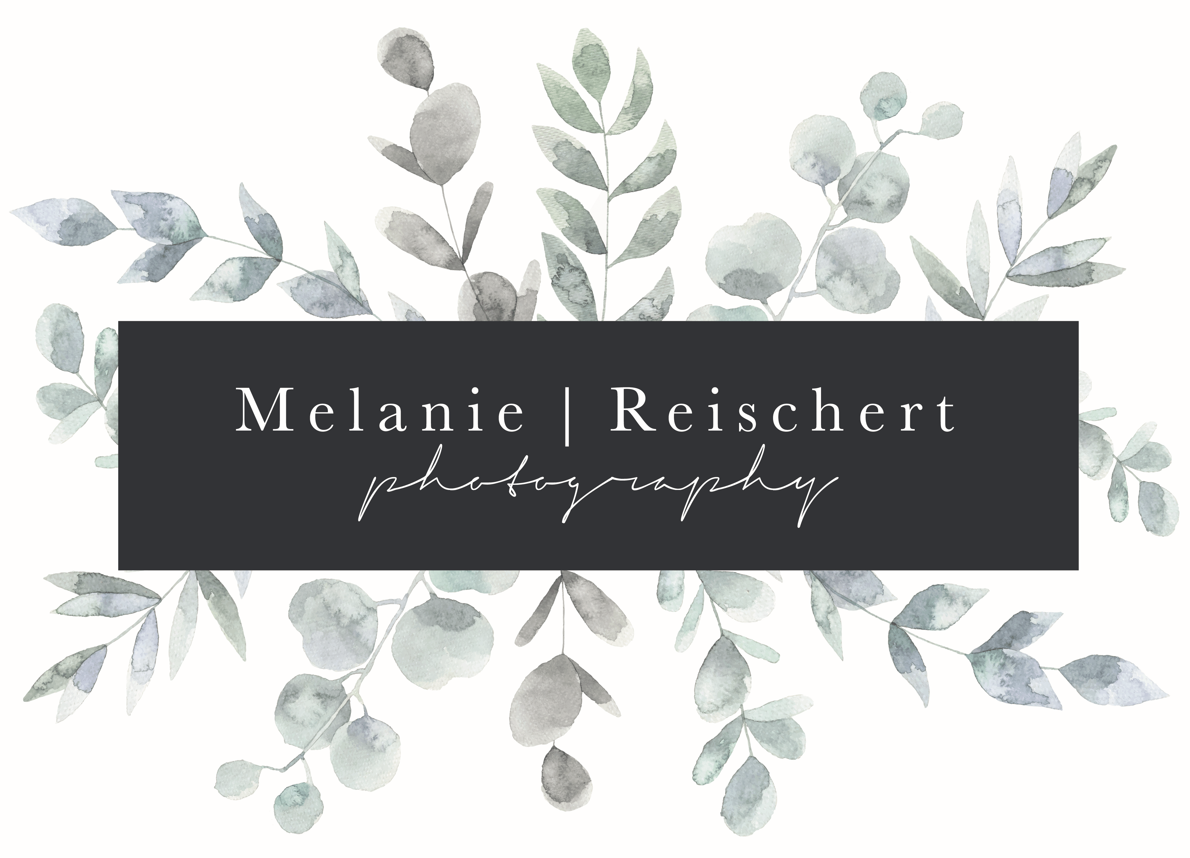Melanie Reischert Photography